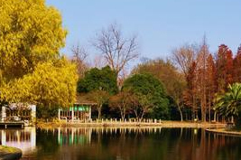 2 Days Classic Shanghai City Tour with Shanghai Skyline