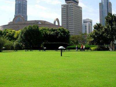 The Green Lawn，People‘s Park