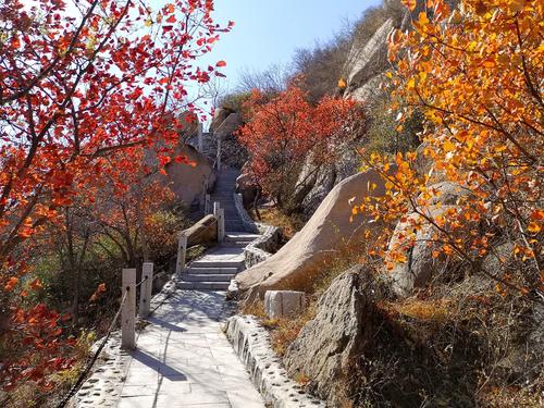 Autumn Scenery，Beijing Fenghuangling Scenic Area