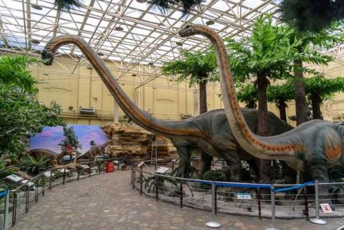 Dinosaur Park，Beijing Museum of Natural History 