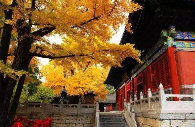 Autumn Scenery,Dajue Temple