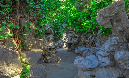 The Pathway to Mysteries, Grand View Garden