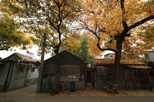 The Autumn Scenery, Hutongs