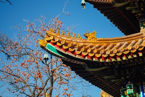 The Craft of Eaves, Lama Temple