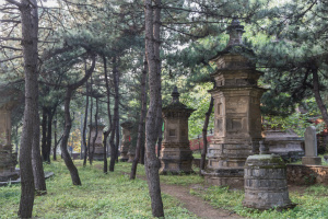 The Forest of Stupas, Tanzhe Temple