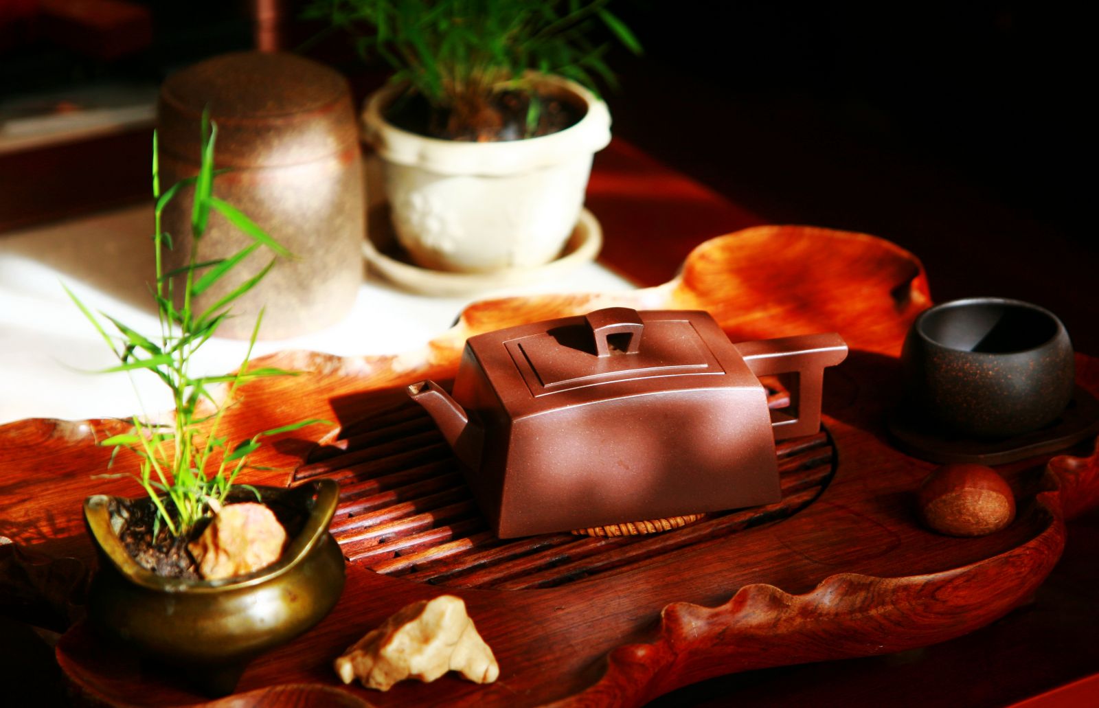 Tea Ceremony，Ten Health Benefits of Drinking Tea