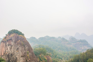 Tiger Hissing ,Wuyi Mountain Scenic Area