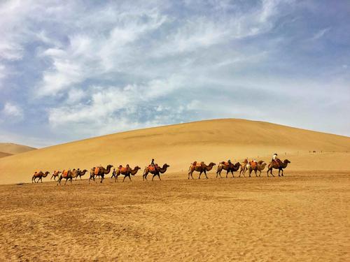 Camels Walking in Desert，Crescent Spring and Echoing-Sand Mountain
