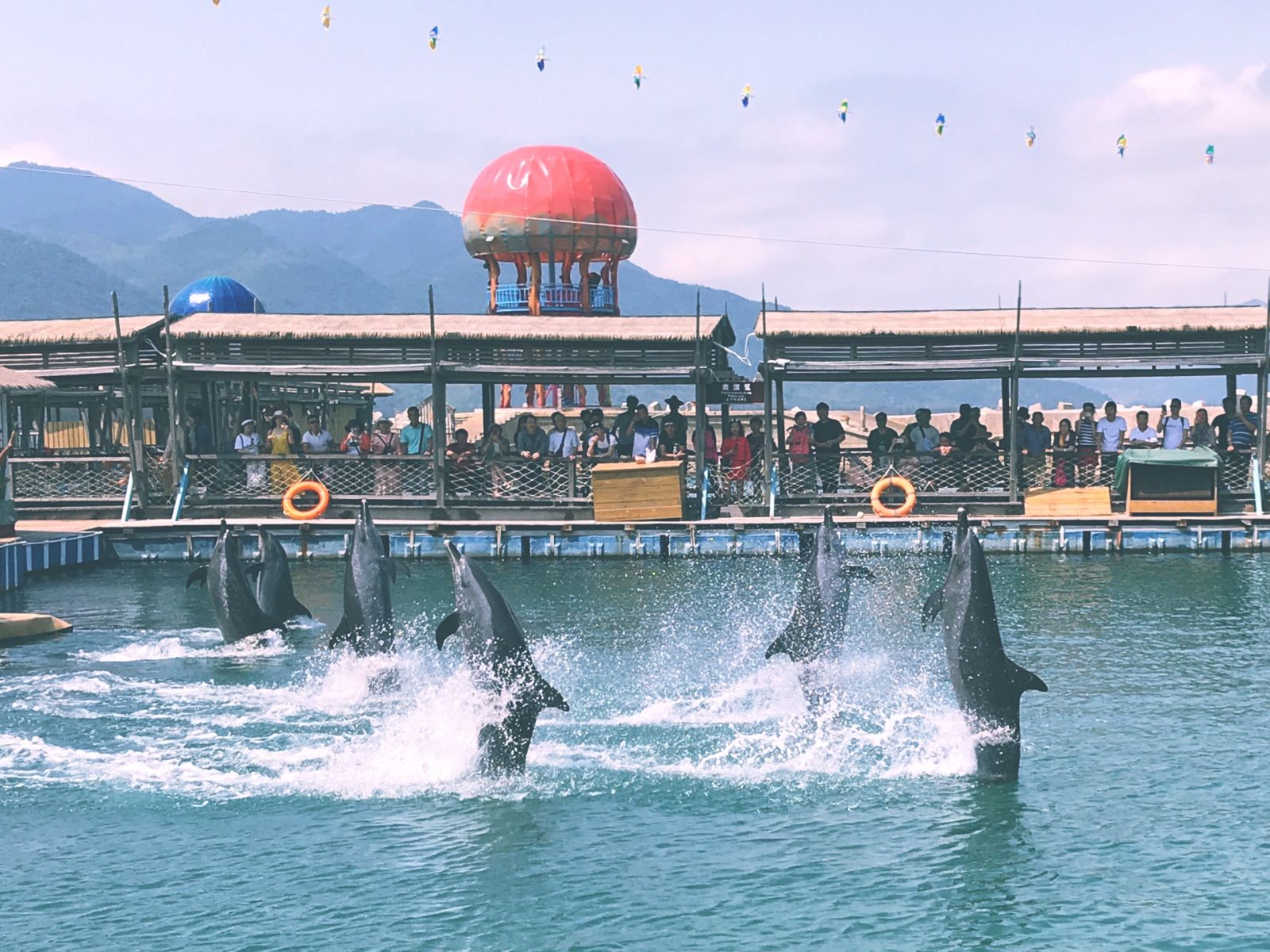 Dolphin Show in Boundary Island，Boundary Island