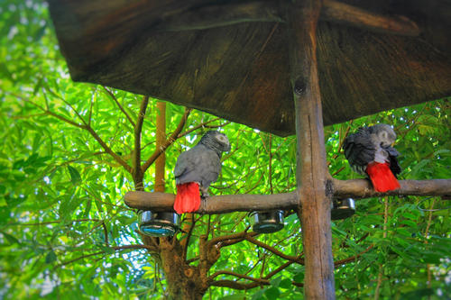 Bird’s Nest Resort, Yalong Bay