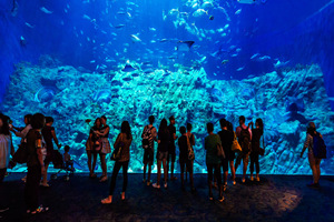 The Grand Aquarium,Hong Kong Ocean Park