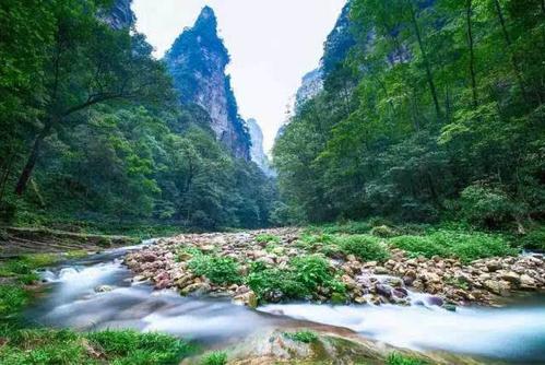  Shentang Valley,Tianzi Mountain