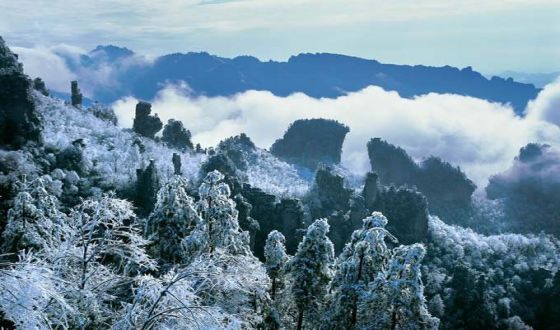 Tianzi Mountain Nature Reserve，Wulingyuan Scenic Spot