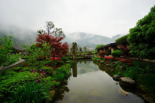 Back Garden，Yuanjiajie