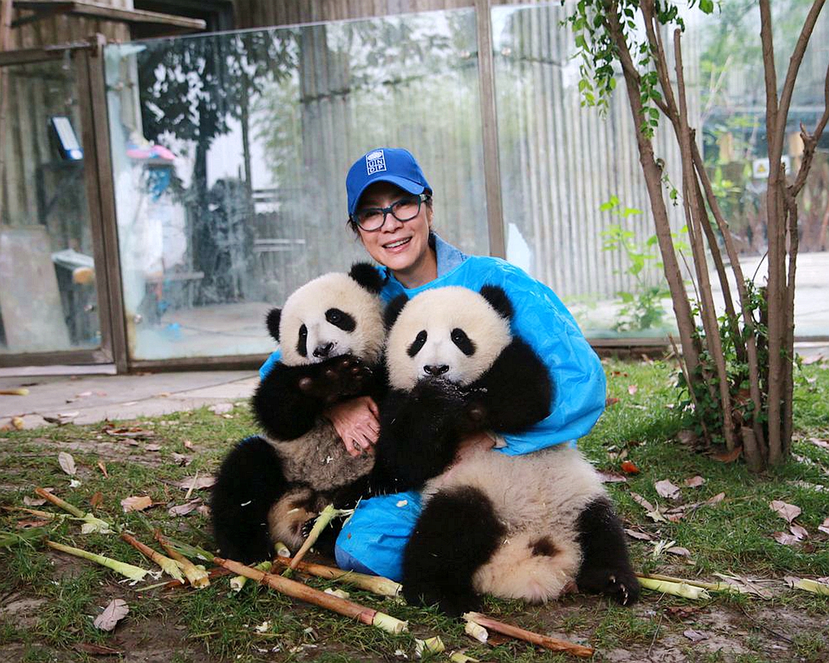 15 Days Luxury Family Tour with Panda Visit