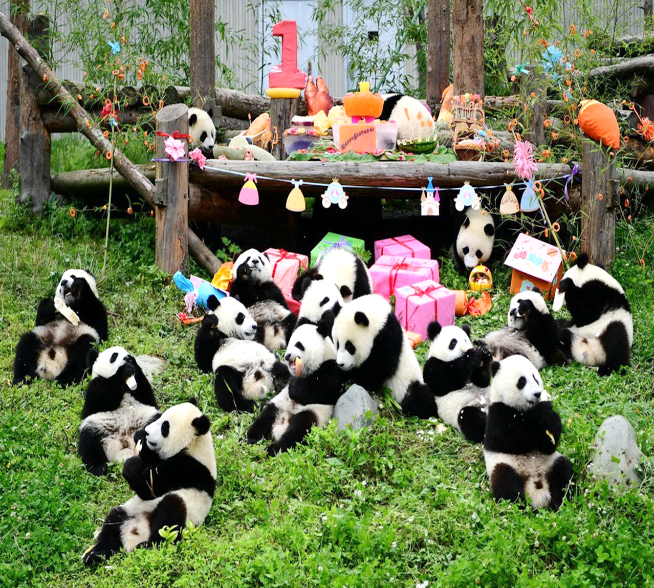 12 Days Essential China Tour withYangtze Cruise Panda Visit