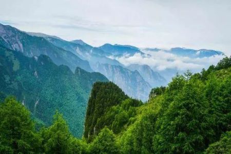 Qinling Mountains，Qinling Mountains