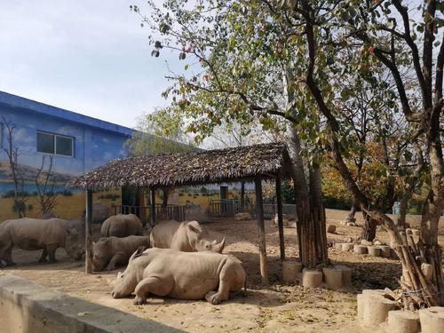 Hippo House，Xi’an Qinling Wildlife Park