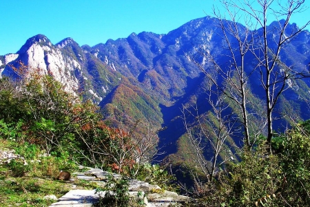 Lush Greenery，Zhongnan Mountains