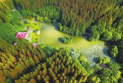 Dongping National Forest Park, Chongming Island