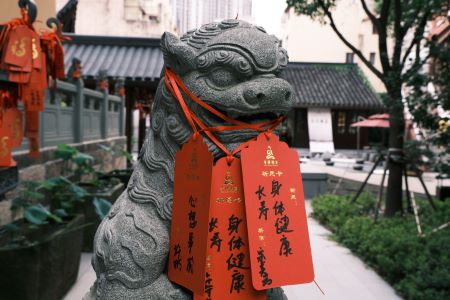 The Guardian Lion,The Jade Buddha Temple