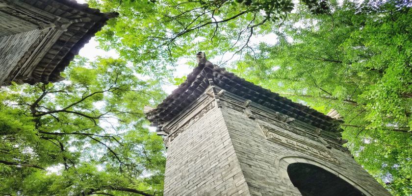 The Green Shade of Trees,The Small Wild Goose Pagoda