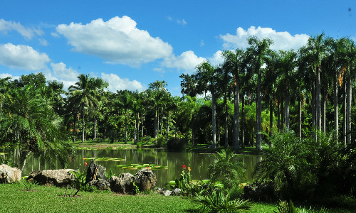 Menglun-Tropical-Botanical-Garden