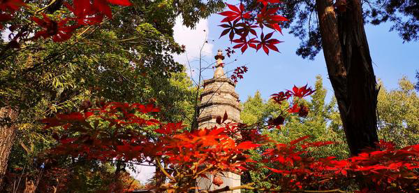 The Red Maple Forest，Heilongtan Park