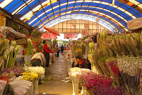 Kunming Dounan Flower Market，Kunming Dounan Flower Market