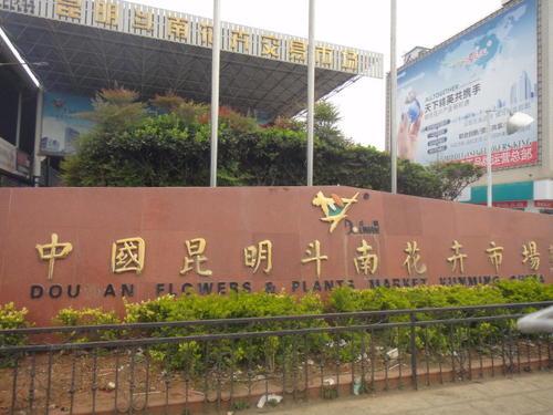 The Main Entrance，Kunming Dounan Flower Market
