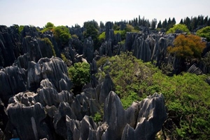 Stone Forest Scenery,Yunnan Stone Forest .jpg