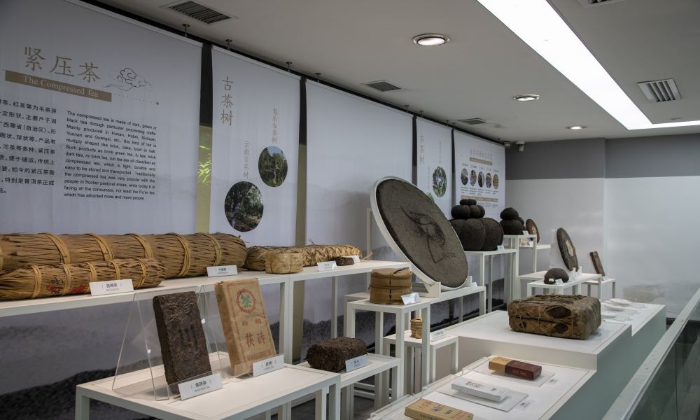 Tea Exhibition，China National Tea Museum
