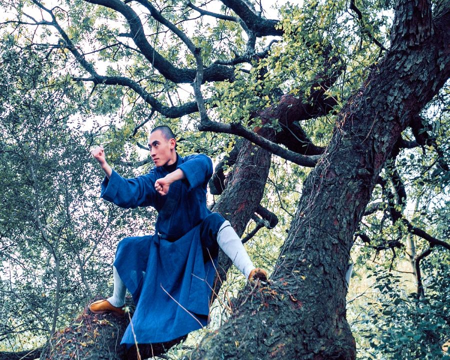 A Glimpse into Real Chinese Kung Fu